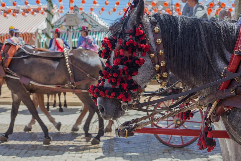 Feria-Pferde, Nahaufnahme. Die April-Festivals, Feria de abril de Sevilla von Tjeerd Kruse