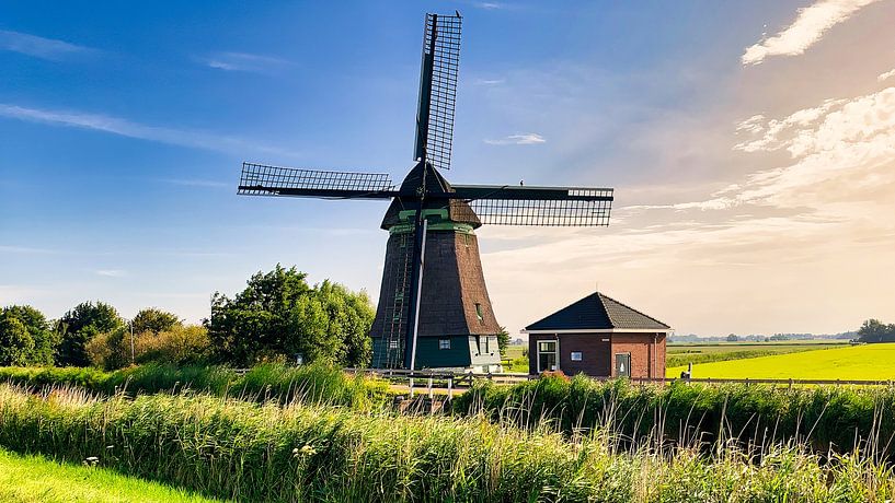 Polder mill and reed collar by Digital Art Nederland