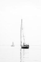 Sailboat on the Eastern Scheldt