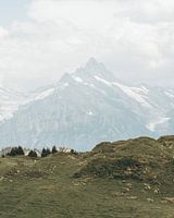 die Alpen in der Schweiz