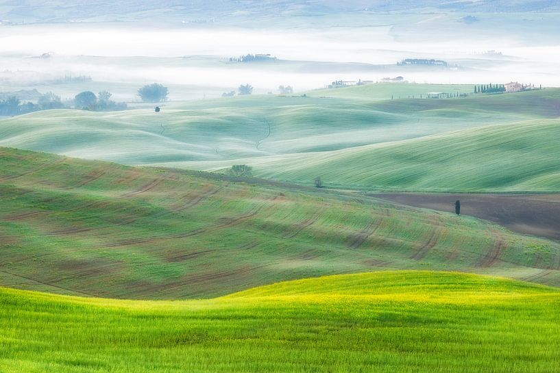 Une photo de paysage des collines verdoyantes et brumeuses de la Toscane en Italie. par Bas Meelker