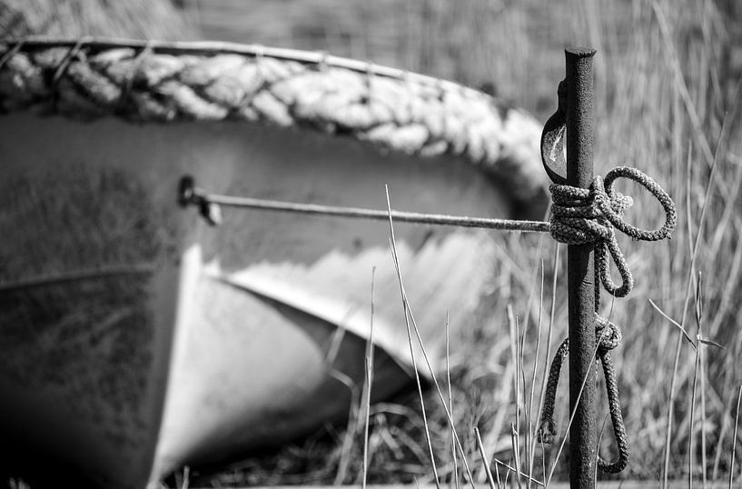 Laying, holding and freedom by Marlies Wolfert