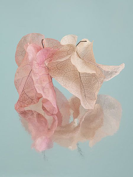 Danser jusqu'à la fin : feuilles pastel séchées sur fond bleu turquoise par Marjolijn van den Berg