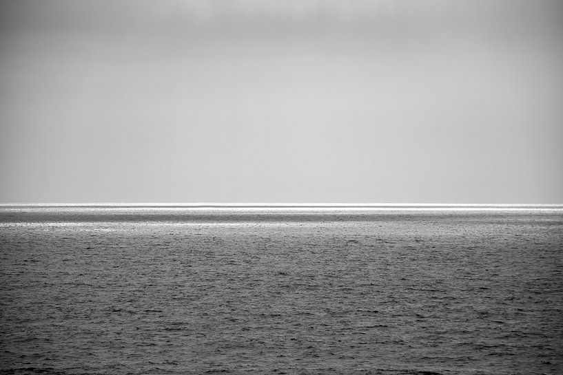 Silber am Horizont von Ingrid de Vos - Boom