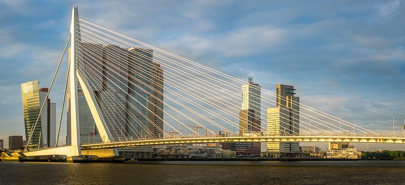 Erasmusbrug  par Tim Kreike