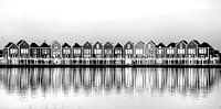 Kleurrijke huizen aan de Rietplas in Houten (zwartwit)