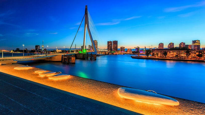 De Erasmusbrug von Roy Poots