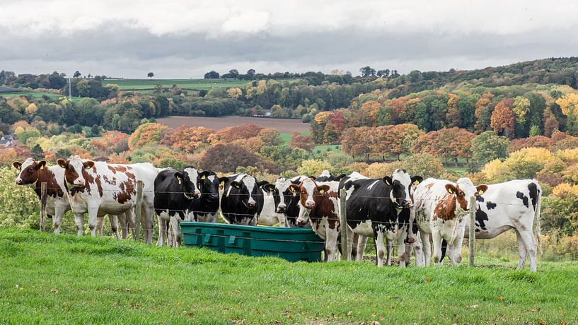 The Meeting by rob creemers