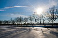 Sunny Winter Day | Blue skies and a frozen lake with trees