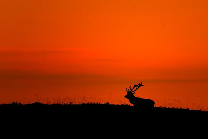 Abendrot von Ina Hendriks-Schaafsma