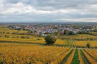 Deidesheim an der Weinstraße