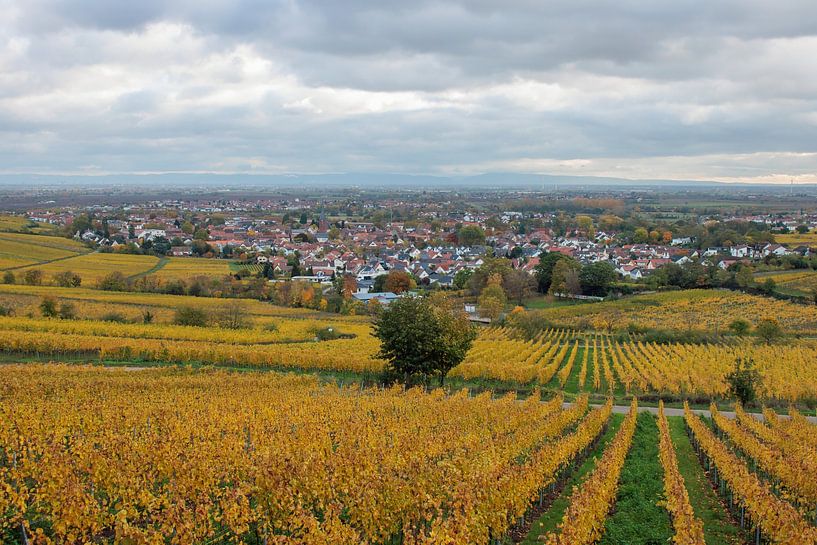 Deidesheim an der Weinstraße von Jürgen Hust