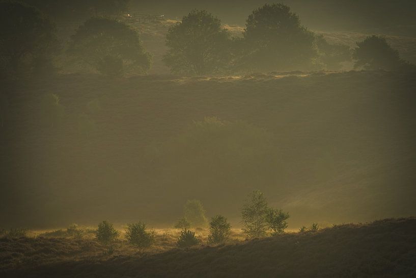 Ein Hauch von Licht von John Goossens Photography