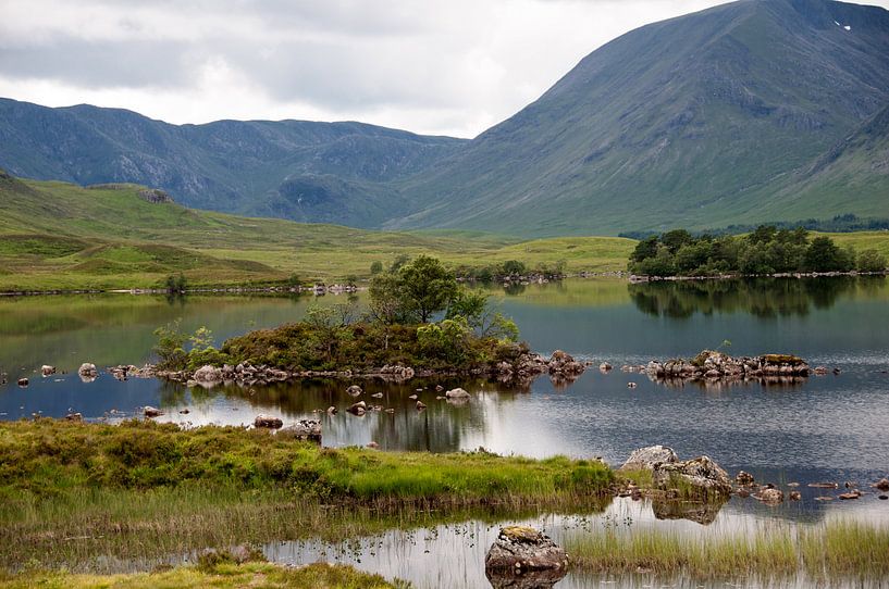 Reflection by Ooks Doggenaar