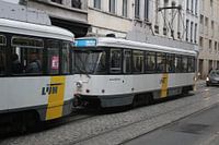 Antwerp Tram Line