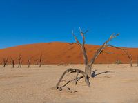 Sossusvlei Namibia