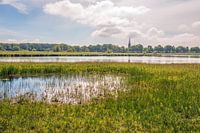 Niederländische Landschaft im Markdal in der Nähe der Stadt Breda