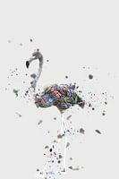 The mosaic of the white flamingo