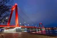 Willemsbrug - Rotterdam (Blaue Stunde)