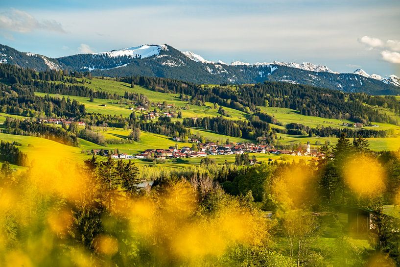 Blumiger Blick auf das Petersthal und die Reuter Wanne von Leo Schindzielorz