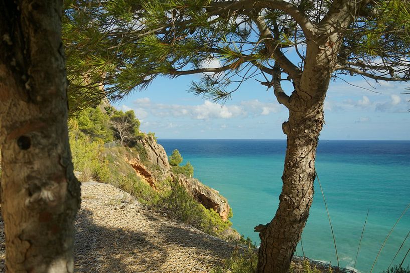 Blaues Meer von F. van extergem