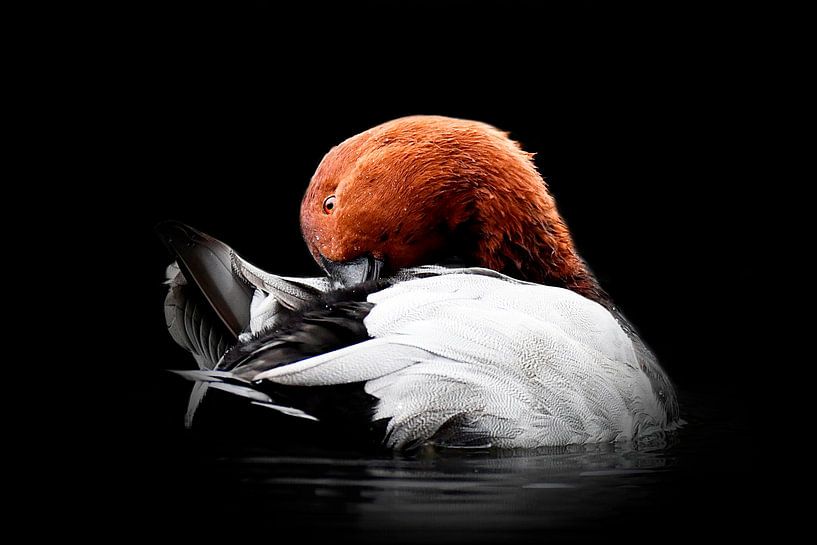 Tischkredit von Sandra Raangs