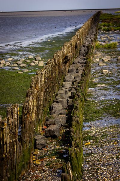 wooden barrier at the seawall by Steven Valkenberg