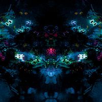 Zoo de nuit - Zoo de nuit