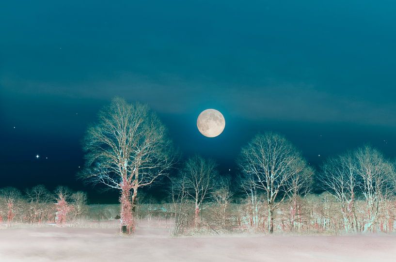 Full Moon by Corinne Welp