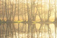 Genießen Sie den Tag im Naturschutzgebiet Smeerling