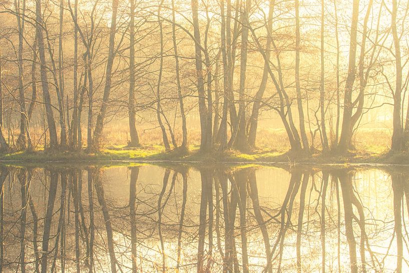 Genießen Sie den Tag im Naturschutzgebiet Smeerling von Peter Kuipers