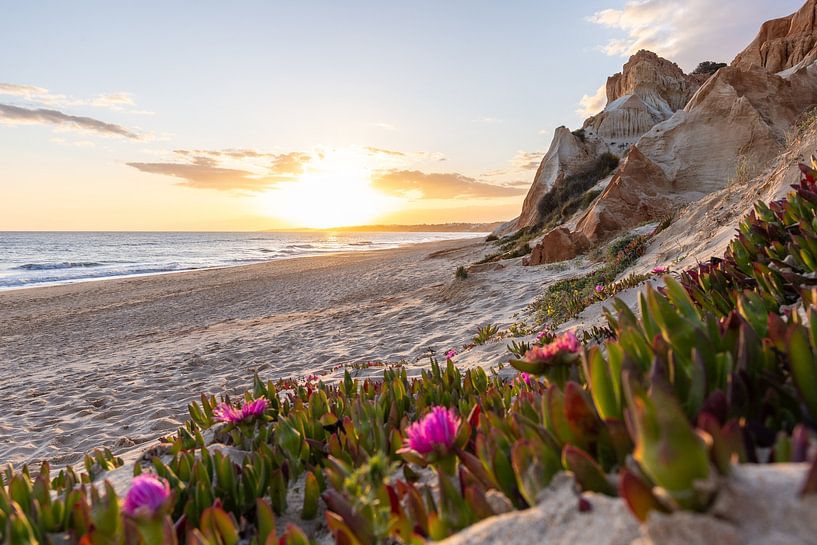 Coucher de soleil sur la plage de sable Praia da Falésia. Falaises Fleurs roses près d'Albufeira, Portugal par Fotos by Jan Wehnert