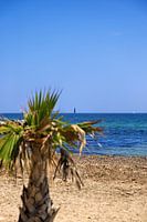 Strand und Mittelmeer mit verschwommener Palme und Segelbooten von Port Grimaud Blickrichtung Saint Tropez, Cote d'Azur