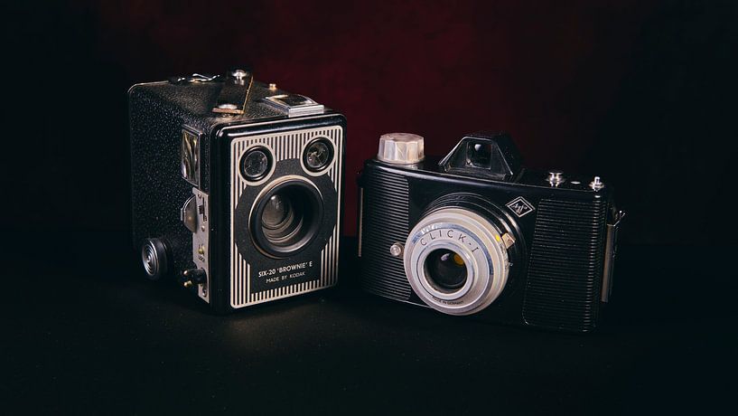 Stilleben von Wilfried Roovers