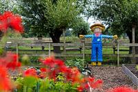 Vincent the scarecrow