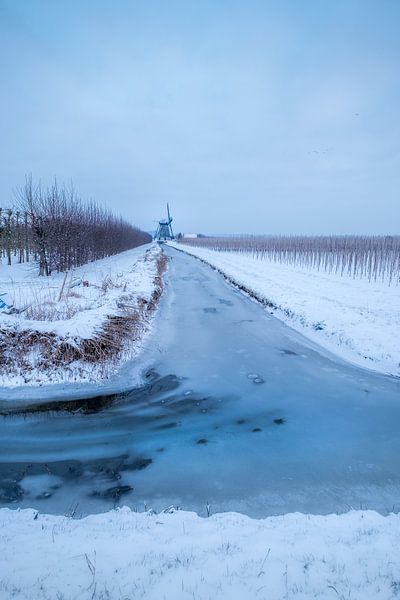 Molen De Marsch von Moetwil en van Dijk - Fotografie