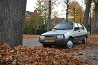 Citroën Visa Leader