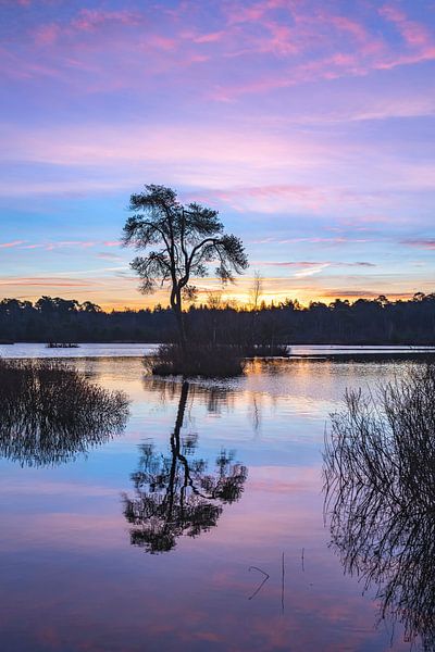Die bekannte Insel im Voorste Goorven mit der blauen Stunde. von Els Oomis