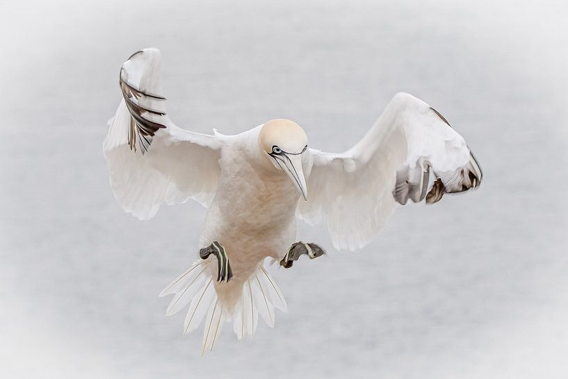 Jan van Gent von Van Karin Fotografie