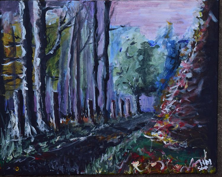 Forest walk by Heleen Stulp