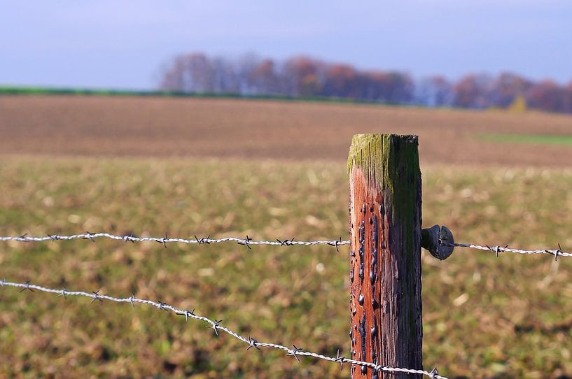 Herbst in Limburg von Marlies Prieckaerts