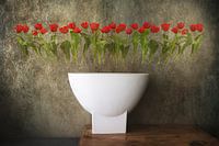 Still life with white vase and tulips