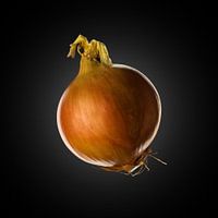 Onion on black background