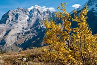 Herbst in den Alpen