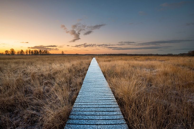 Hardenbergerveen by Frederik van der Veer