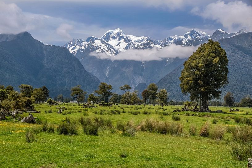 Blick auf Mount Cook von Fox Village aus, Neuseeland von Christian Müringer