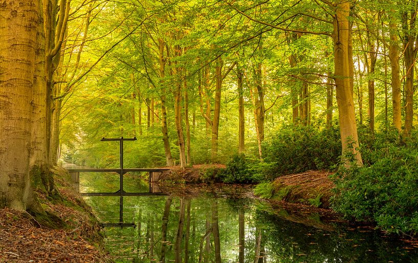 Bridge at home IJsselvliedt by Michel Knikker