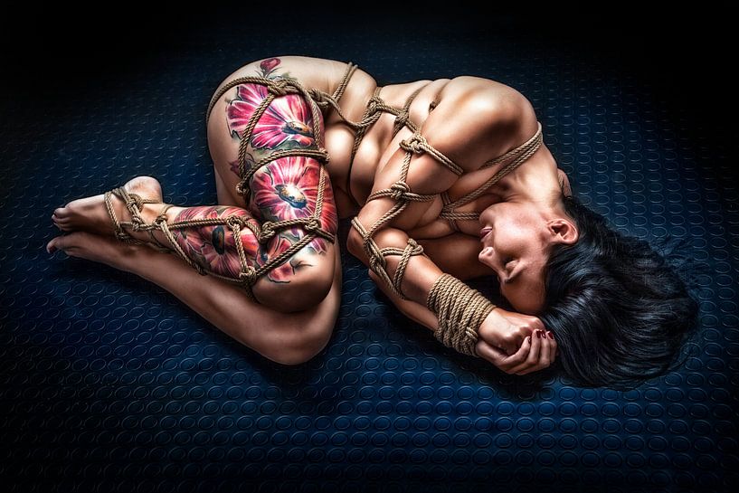 laid down by Rod Meier