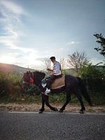 Traditioneller Reiter