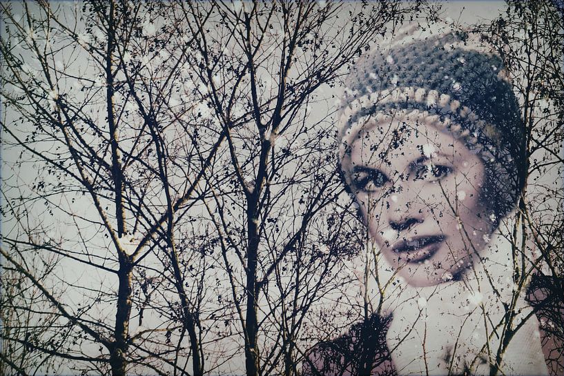 Waldwinter von Christine Nöhmeier